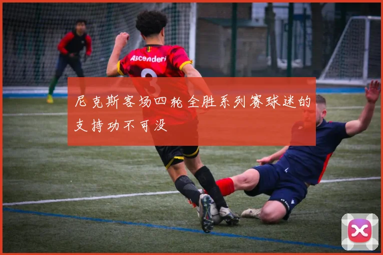 尼克斯客场四轮全胜系列赛球迷的支持功不可没